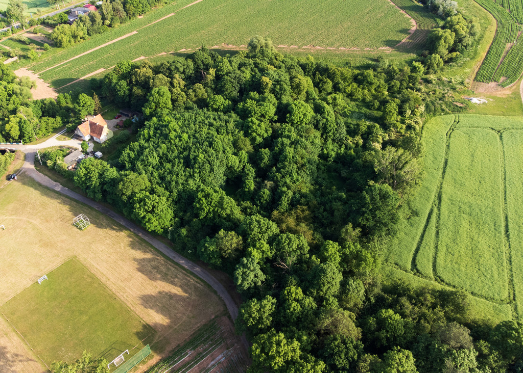 Działka na sprzedaż, Zębowice, dolnośląskie – zdjęcie 2