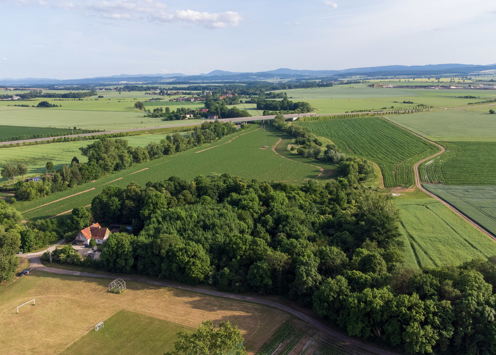 Działka na sprzedaż – Zębowice, dolnośląskie
