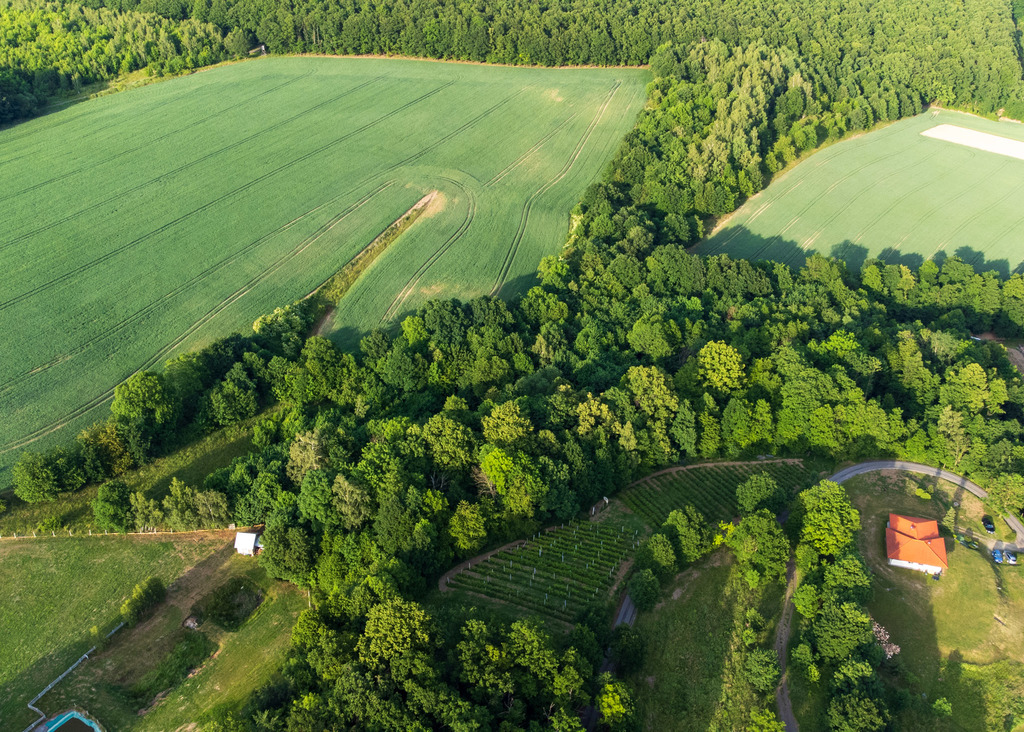 Działka na sprzedaż, Myślinów, dolnośląskie – zdjęcie 3