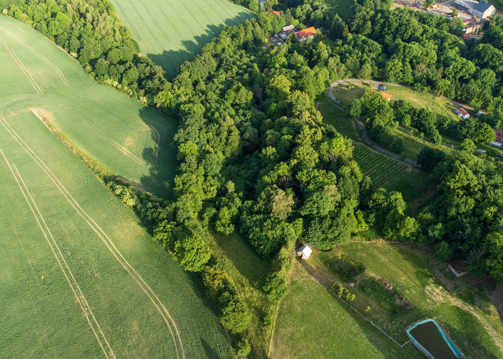Działka na sprzedaż, Myślinów, dolnośląskie – zdjęcie 5