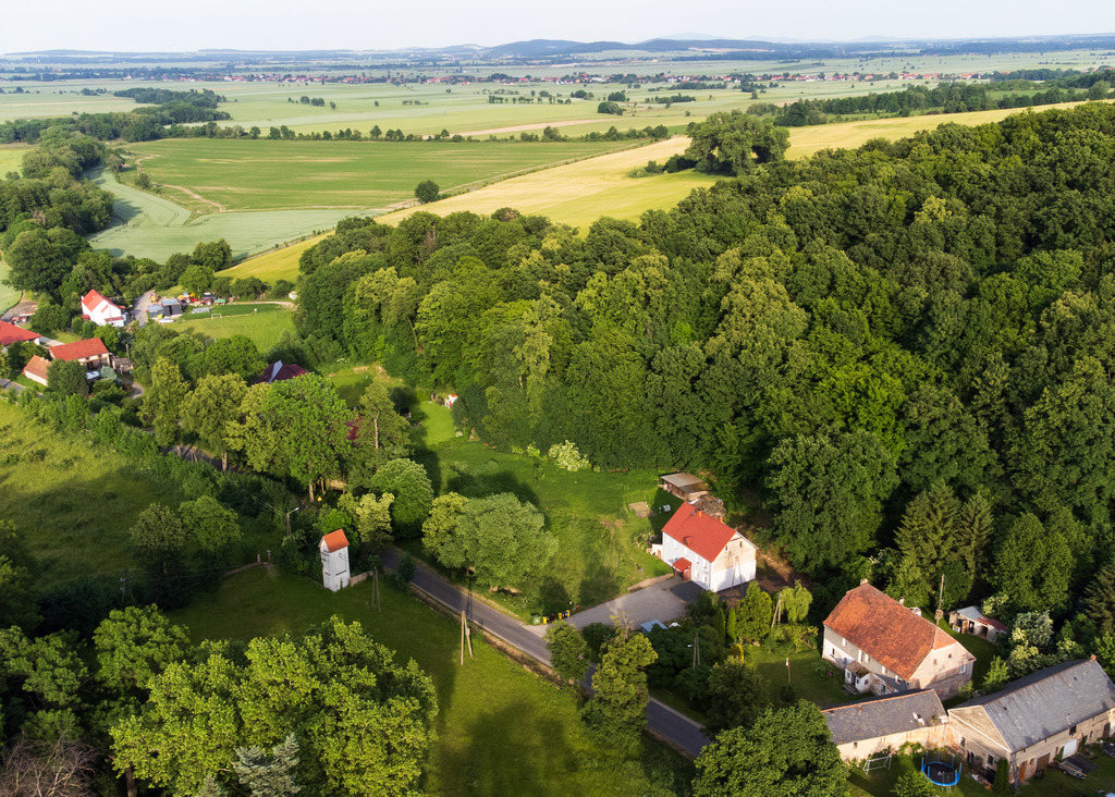 Działka na sprzedaż, Myślibórz, dolnośląskie – zdjęcie 4
