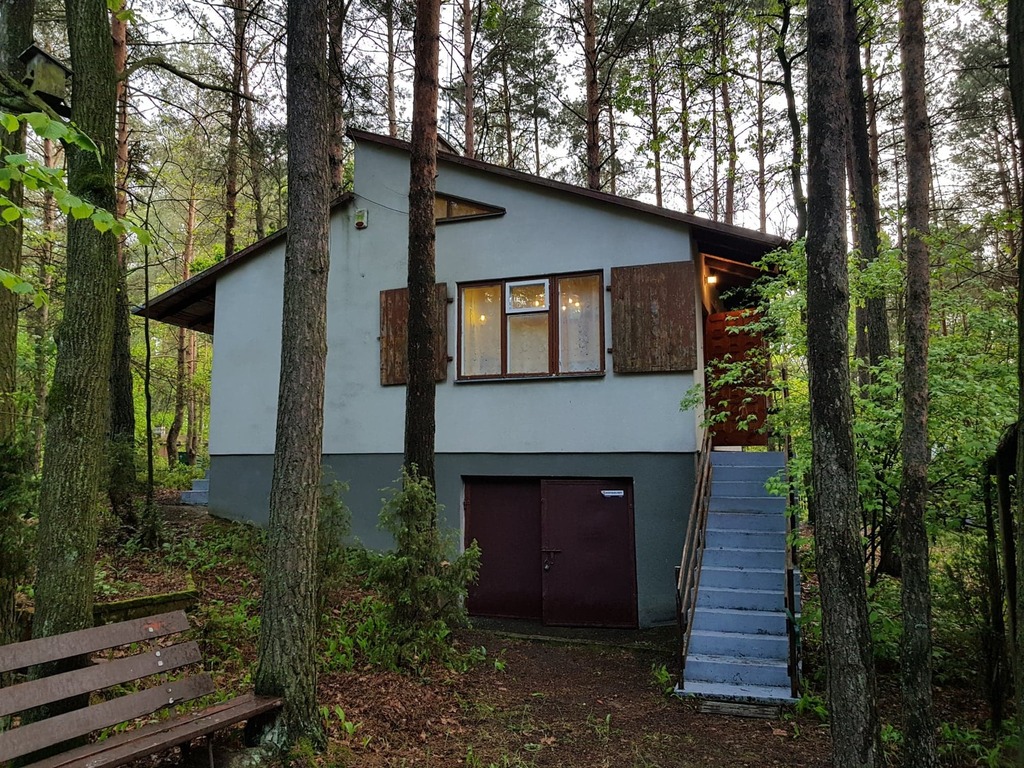 Domek z działką rekreacyjną wśród lasów. Ogony