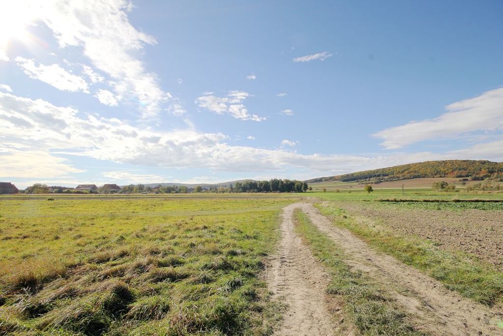 Działka na sprzedaż, Paszowice, dolnośląskie – zdjęcie 3