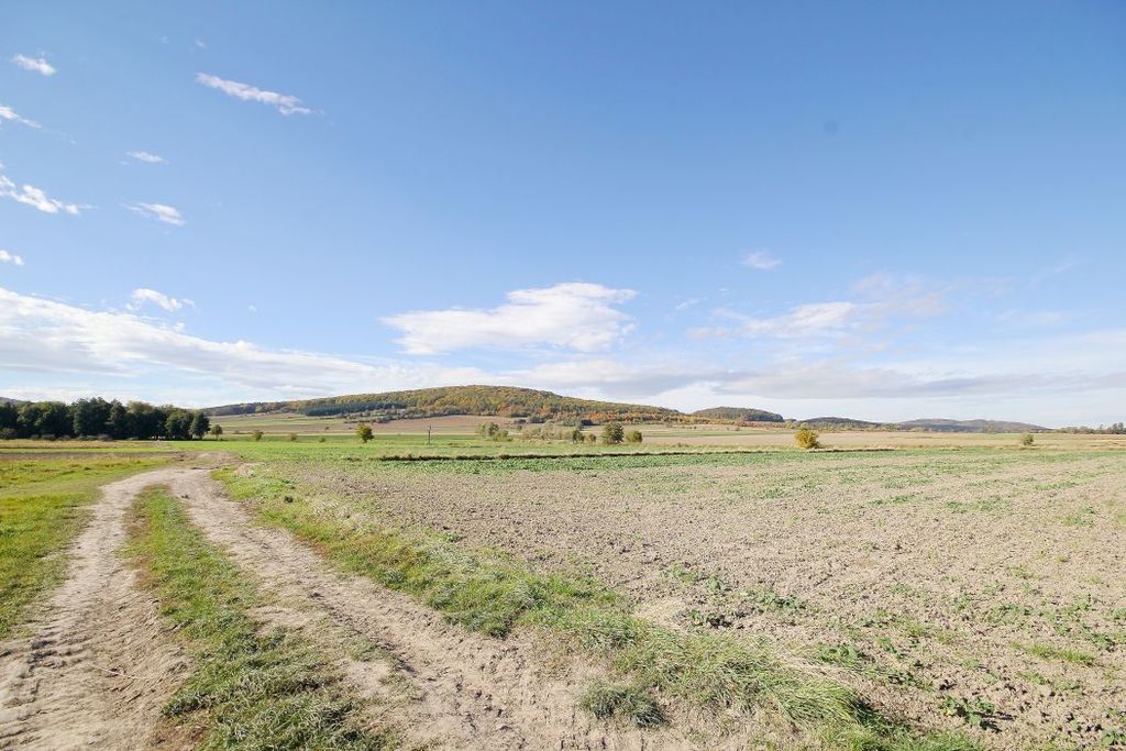 Działka na sprzedaż, Paszowice, dolnośląskie – zdjęcie 2