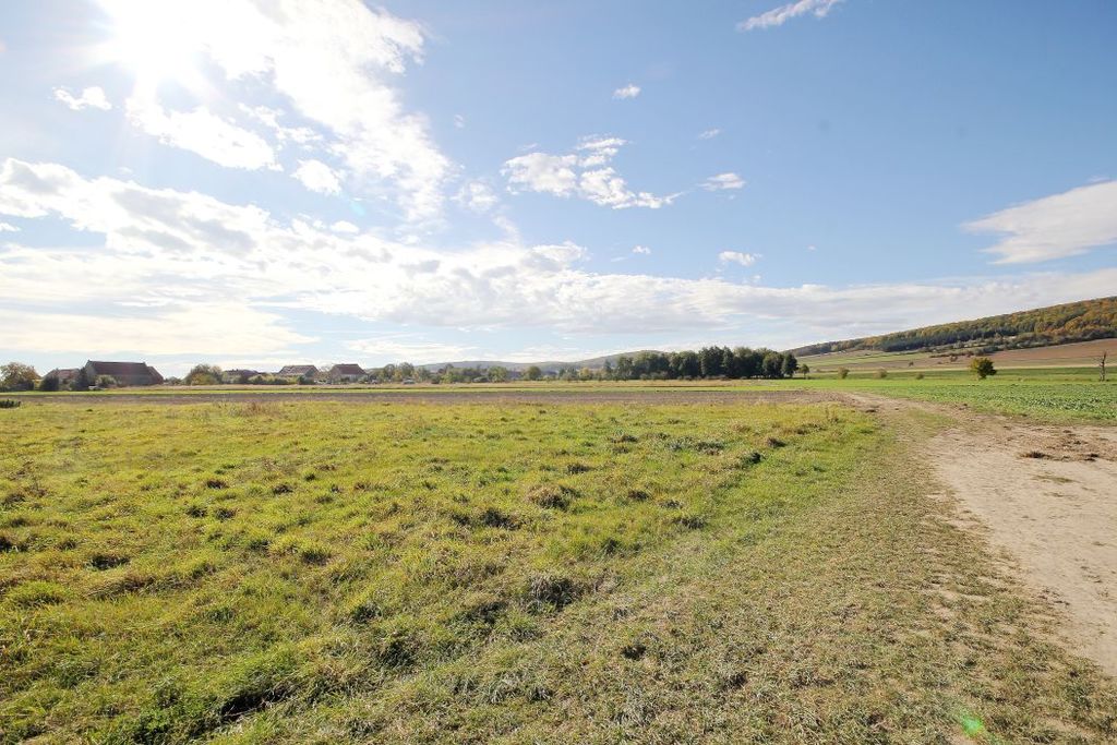 Działka na sprzedaż, Paszowice, dolnośląskie – zdjęcie 5