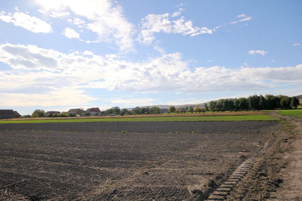 Działka na sprzedaż, Paszowice, dolnośląskie – zdjęcie 6