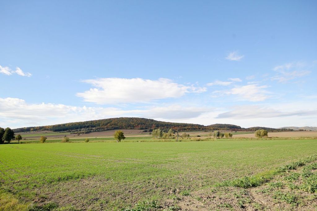 Działka na sprzedaż, Paszowice, dolnośląskie – zdjęcie 7