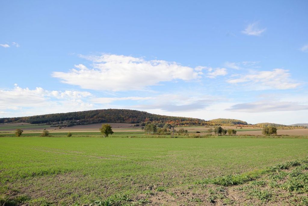 Działka na sprzedaż – Paszowice, dolnośląskie