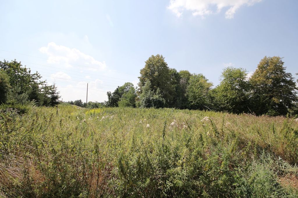 Działka na sprzedaż – Paszowice, dolnośląskie