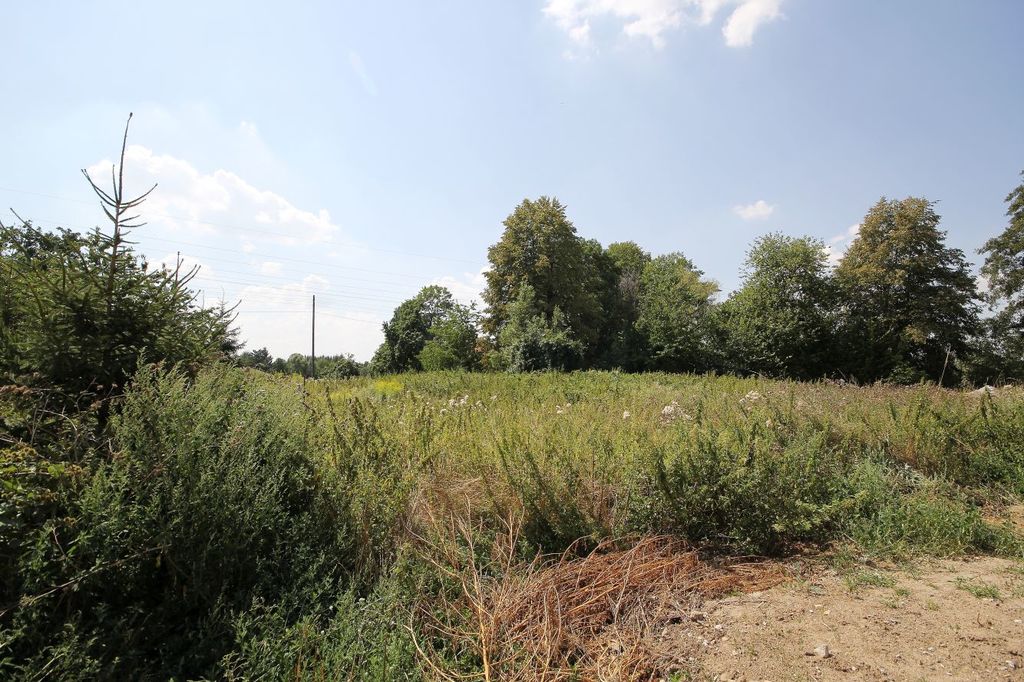 Działka na sprzedaż, Paszowice, dolnośląskie – zdjęcie 3