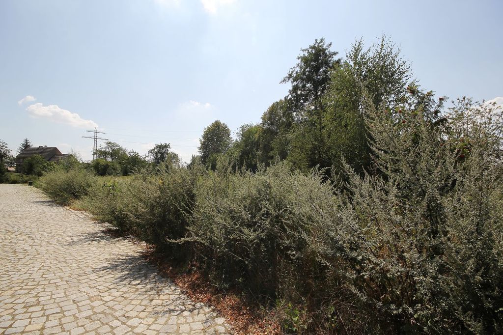 Działka na sprzedaż, Paszowice, dolnośląskie – zdjęcie 5