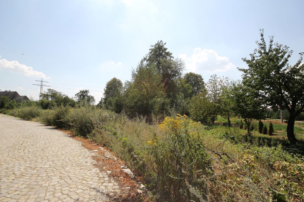 Działka na sprzedaż, Paszowice, dolnośląskie – zdjęcie 4