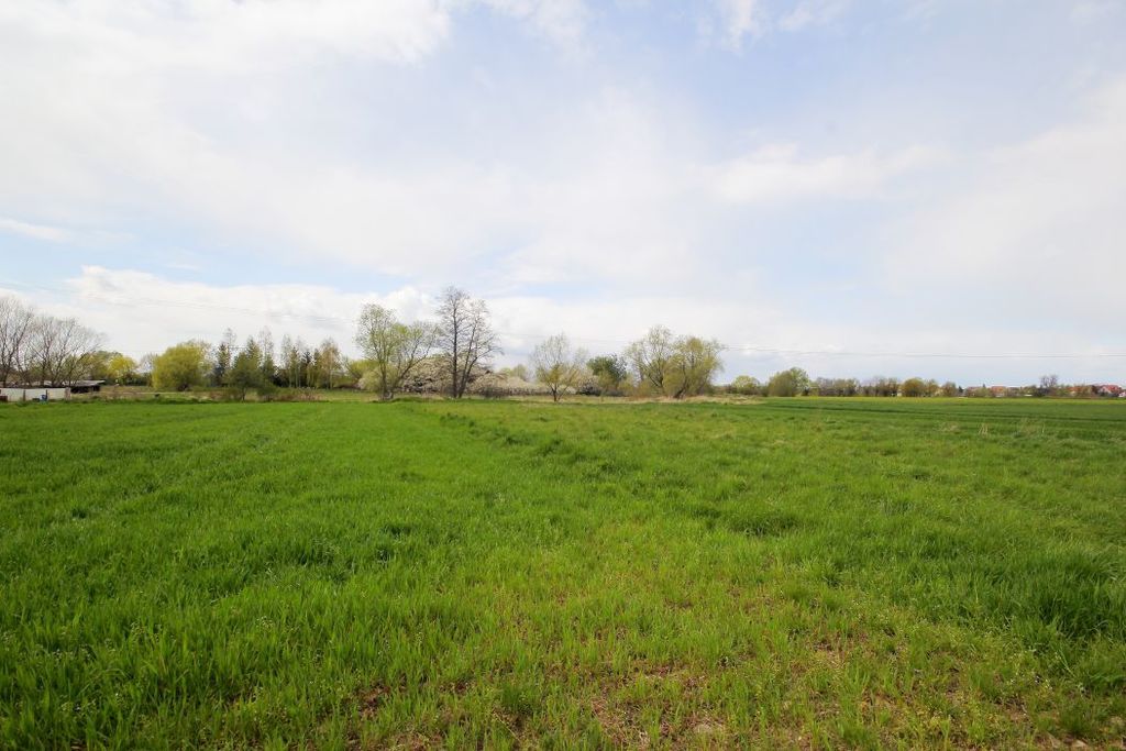 Działka na sprzedaż, Piotrowice, dolnośląskie – zdjęcie 3