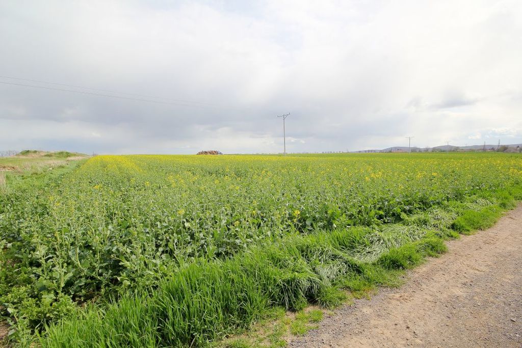 Działka na sprzedaż – Piotrowice, dolnośląskie