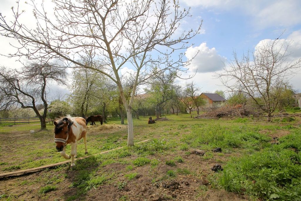 Działka na sprzedaż, Piotrowice, dolnośląskie – zdjęcie 2