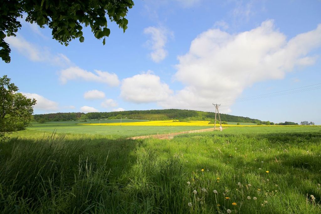 Działka na sprzedaż, Paszowice, dolnośląskie – zdjęcie 2
