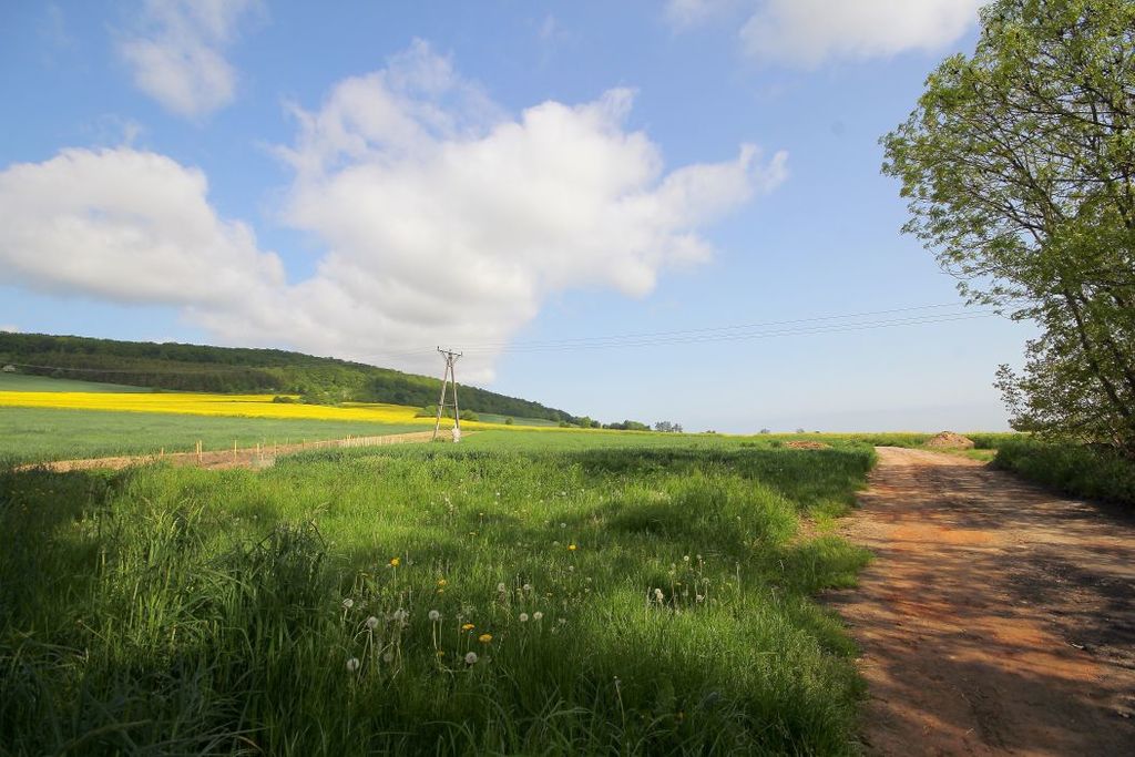 Działka na sprzedaż, Paszowice, dolnośląskie – zdjęcie 4