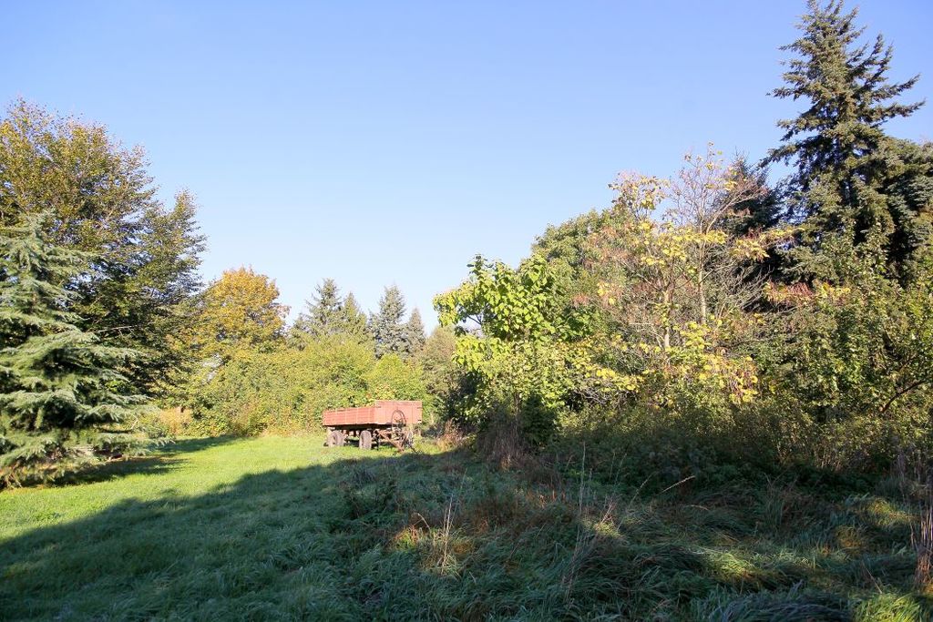 Działka na sprzedaż, Targoszyn, dolnośląskie – zdjęcie 3