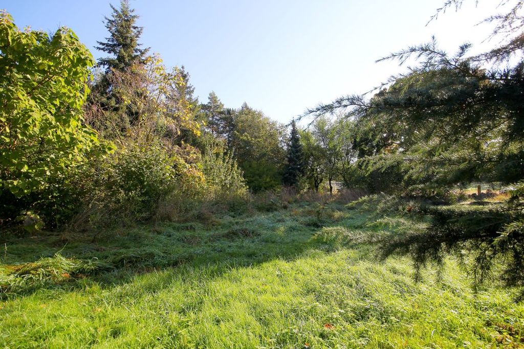 Działka na sprzedaż, Targoszyn, dolnośląskie – zdjęcie 4