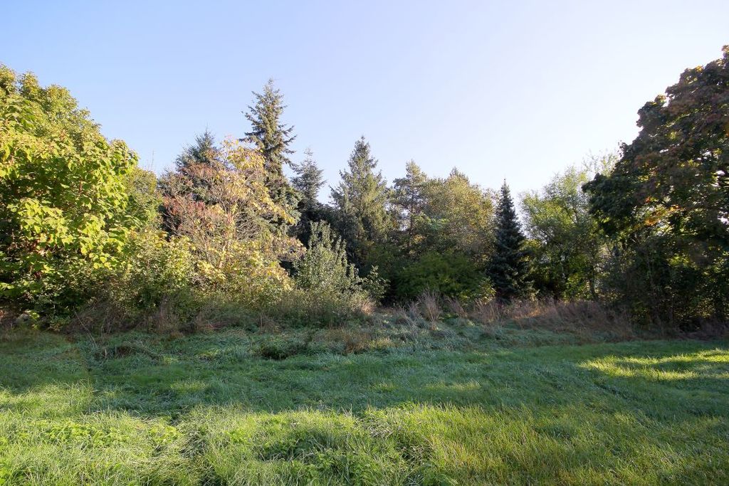 Działka na sprzedaż, Targoszyn, dolnośląskie – zdjęcie 5