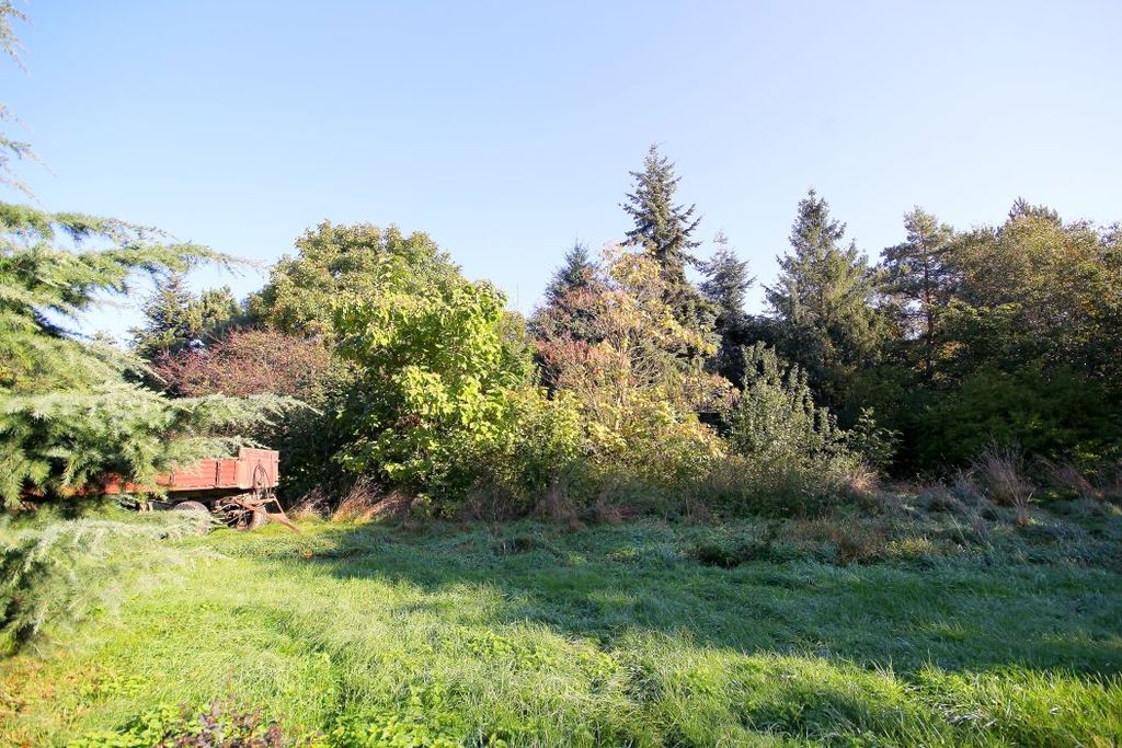 Działka na sprzedaż, Targoszyn, dolnośląskie – zdjęcie 7