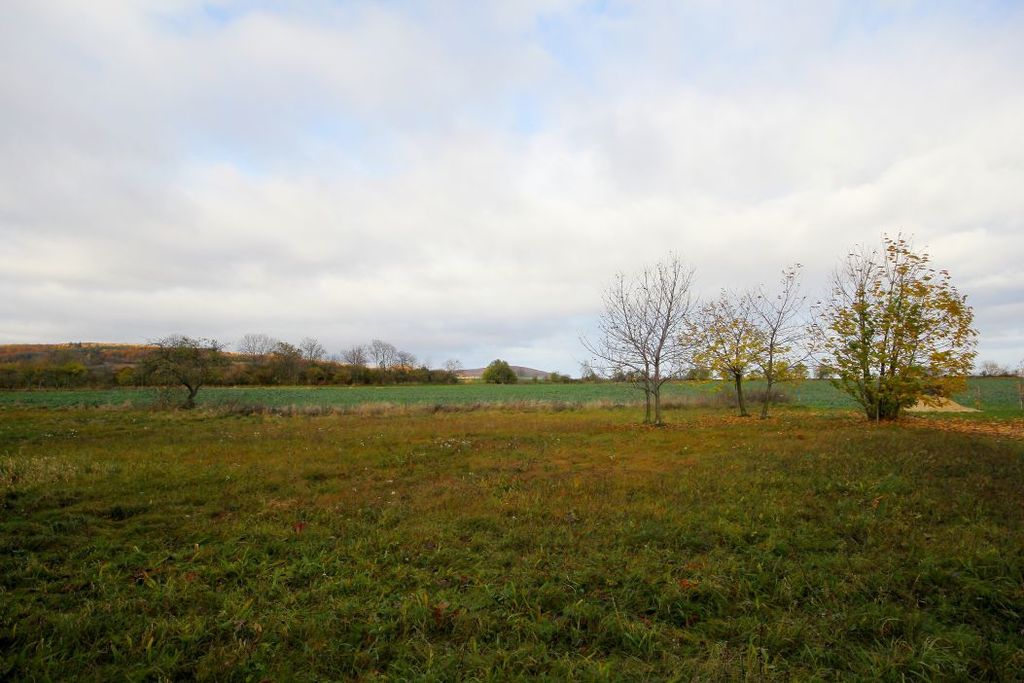 Działka na sprzedaż, Wiadrów, dolnośląskie – zdjęcie 4