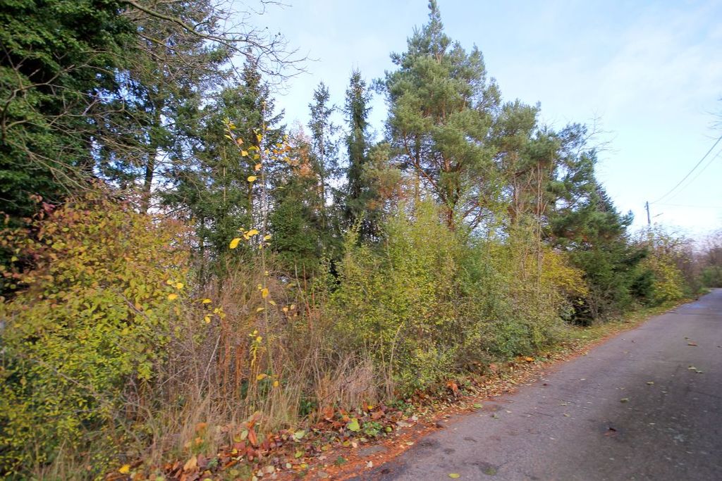 Działka na sprzedaż, Wiadrów, dolnośląskie – zdjęcie 6