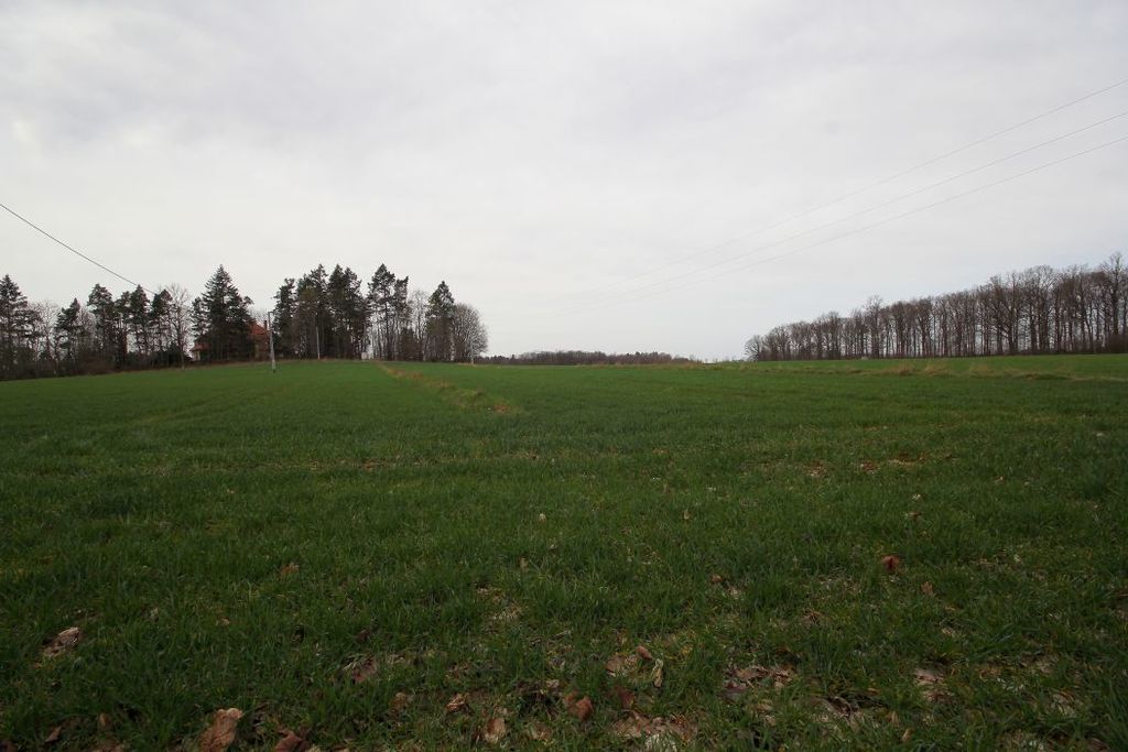 Działka na sprzedaż, Męcinka, dolnośląskie – zdjęcie 4