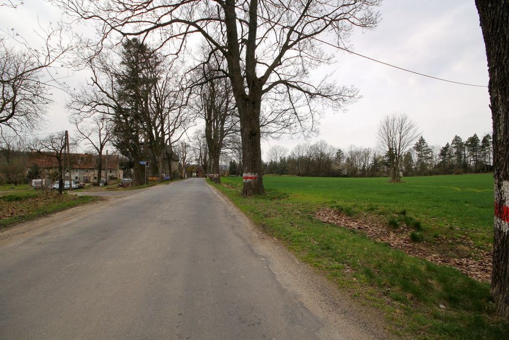 Działka na sprzedaż, Męcinka, dolnośląskie – zdjęcie 5