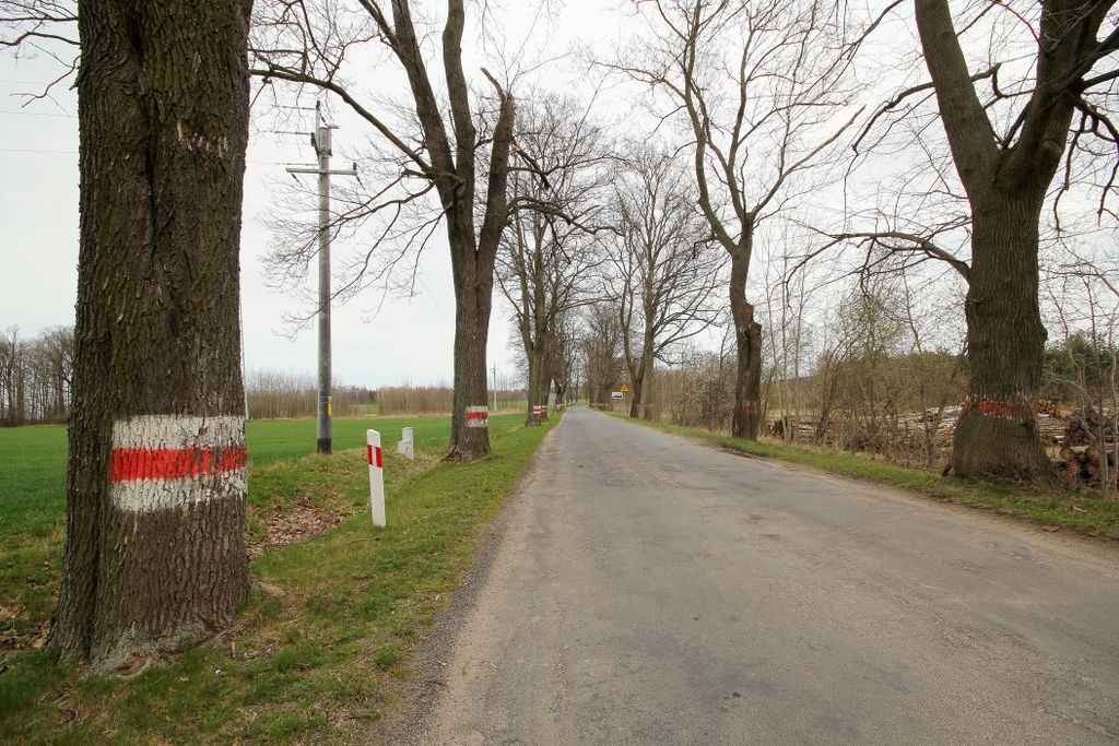 Działka na sprzedaż, Męcinka, dolnośląskie – zdjęcie 7