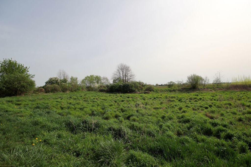 Działka na sprzedaż, Piotrowice, dolnośląskie – zdjęcie 4