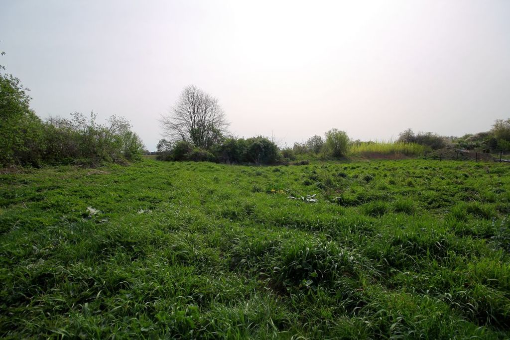 Działka na sprzedaż, Piotrowice, dolnośląskie – zdjęcie 5
