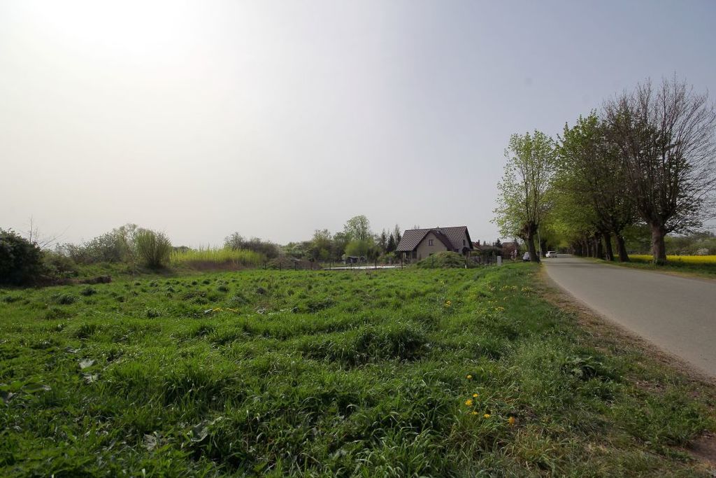 Działka na sprzedaż, Piotrowice, dolnośląskie – zdjęcie 6