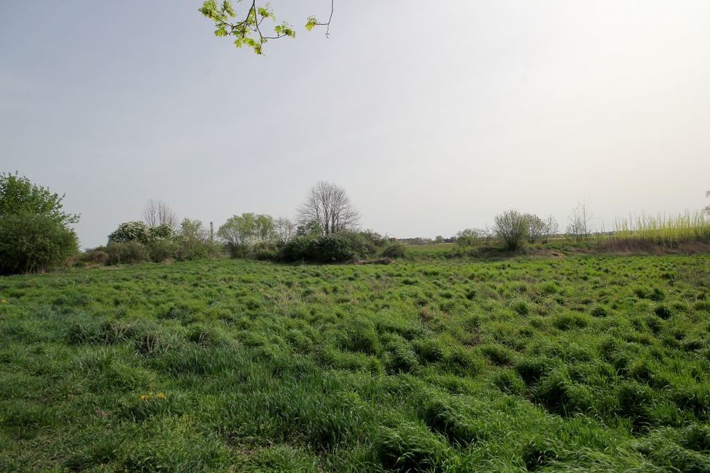 Działka na sprzedaż, Piotrowice, dolnośląskie – zdjęcie 7