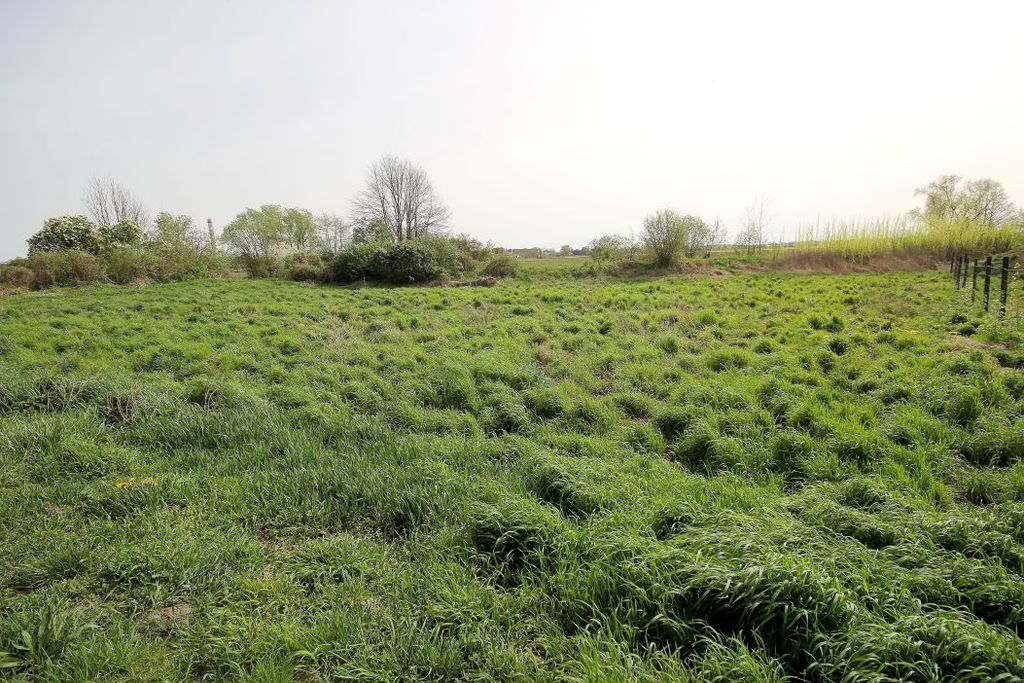 Działka na sprzedaż, Piotrowice, dolnośląskie – zdjęcie 3
