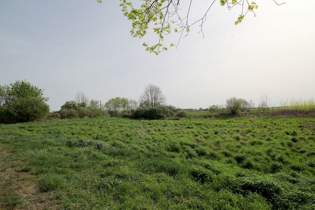 Działka na sprzedaż – Piotrowice, dolnośląskie