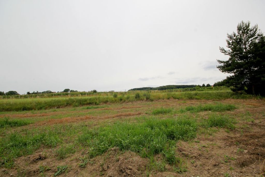 Działka na sprzedaż, Chełmiec, dolnośląskie – zdjęcie 2