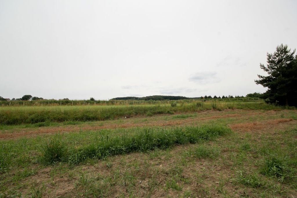 Działka na sprzedaż, Chełmiec, dolnośląskie – zdjęcie 6