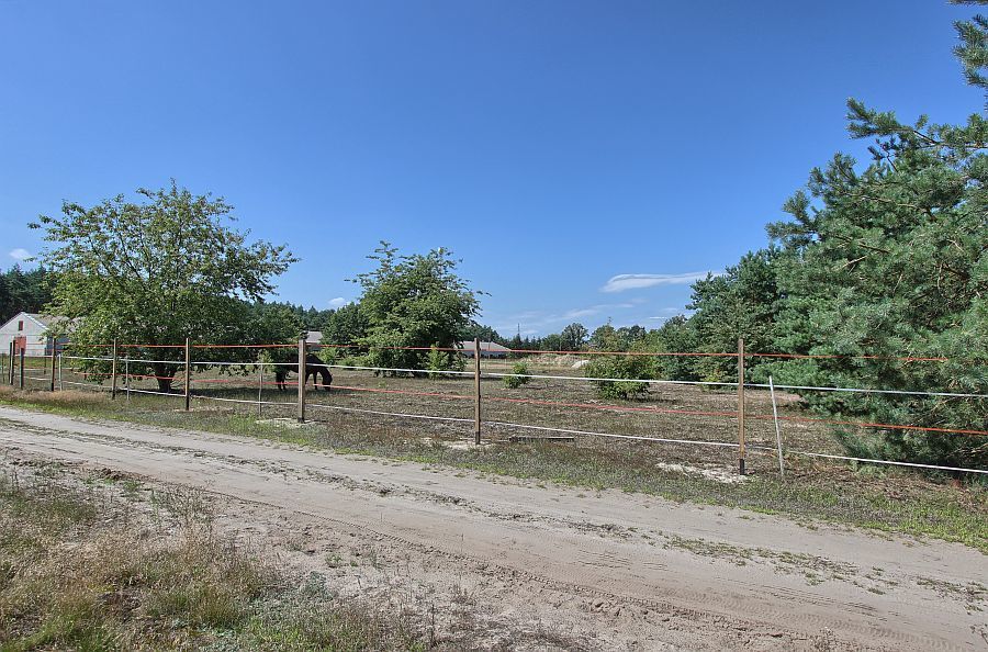 Działka na sprzedaż Rurzyca 1 534 m2 | Arka Nieruchomości