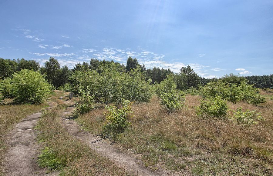 Działka na sprzedaż Rurzyca 1 534 m2 | Arka Nieruchomości