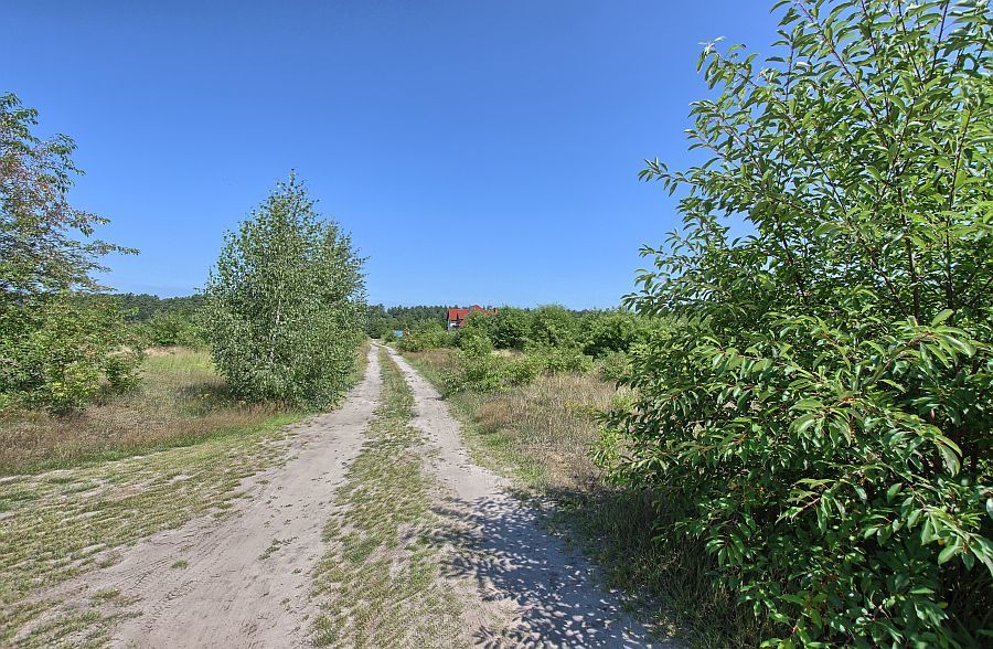 Działka na sprzedaż Rurzyca 1 534 m2 | Arka Nieruchomości