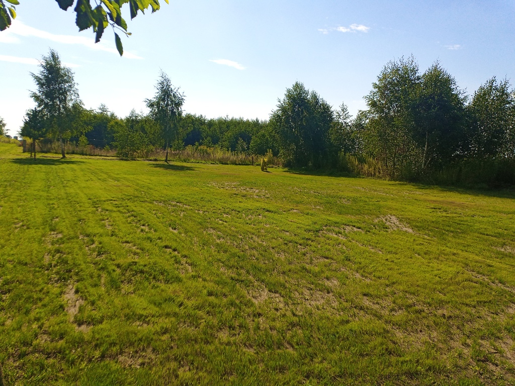 Działka na sprzedaż Tucze 700 m2 | Arka Nieruchomości