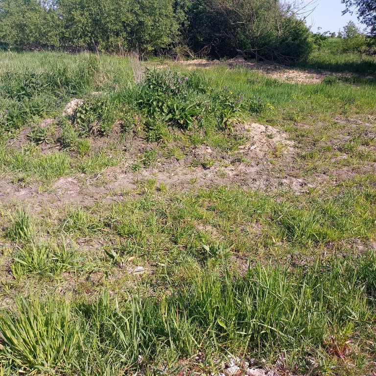 Działka na sprzedaż Szczecin, Skolwin 1 566 m2 | Arka Nieruchomości