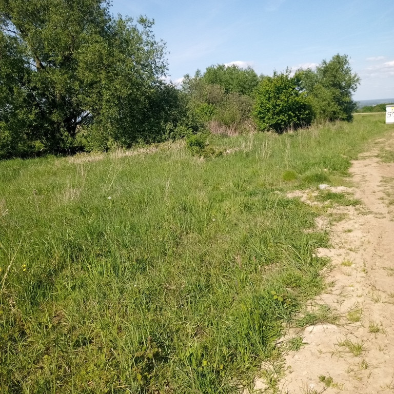 Działka na sprzedaż Szczecin, Skolwin 1 566 m2 | Arka Nieruchomości