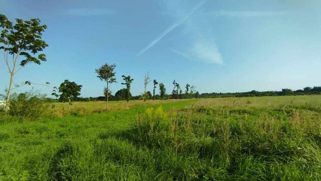 Działka na sprzedaż Żelewo 11 800 m2 | Arka Nieruchomości