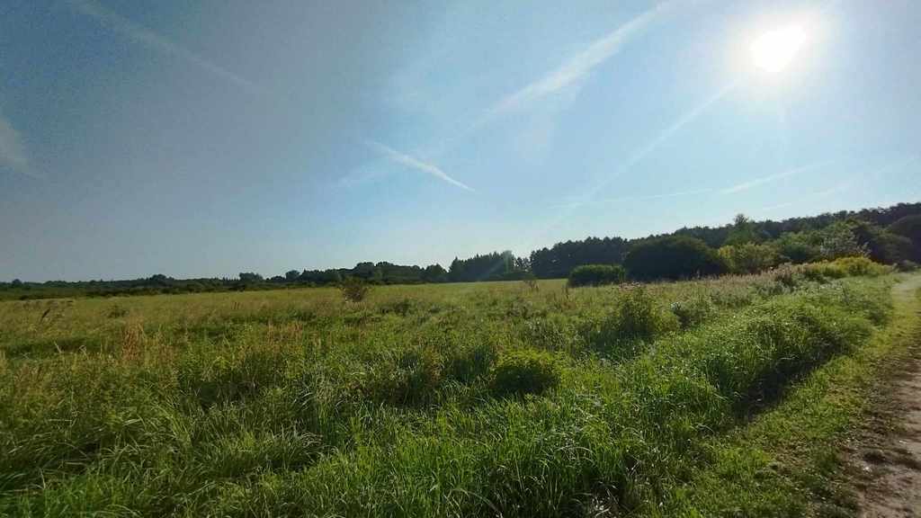 Działka na sprzedaż Żelewo 11 800 m2 | Arka Nieruchomości