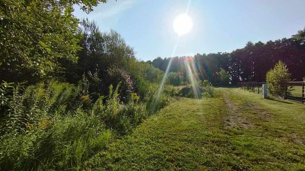 Działka na sprzedaż Żelewo 11 800 m2 | Arka Nieruchomości