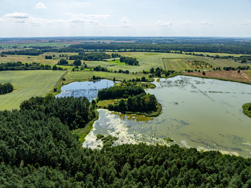 Działka na sprzedaż Binowo 1 315 m2 | Arka Nieruchomości
