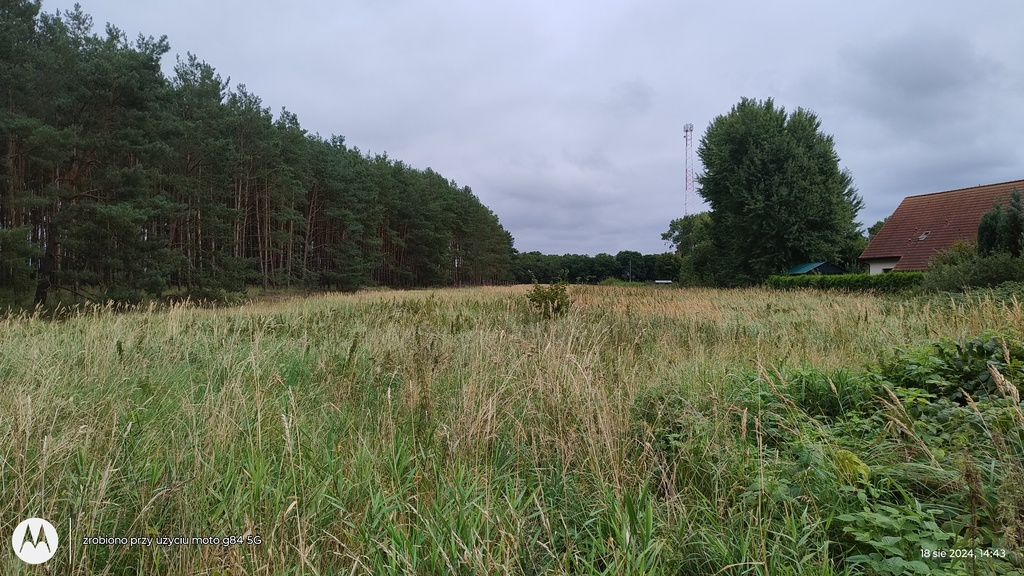 Działka na sprzedaż Brzózki 5 000 m2 | Arka Nieruchomości