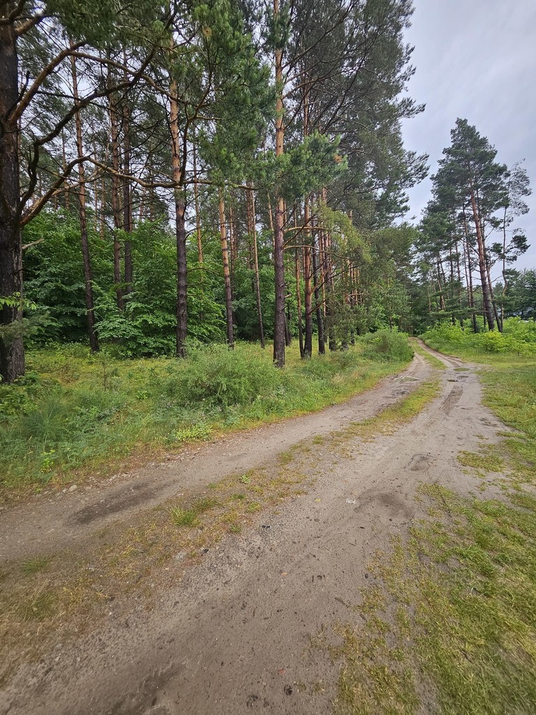 Działka na sprzedaż Wisełka 1 308 m2 | Arka Nieruchomości